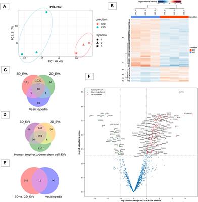 Effect of 3D and 2D cell culture systems on trophoblast extracellular vesicle physico-chemical characteristics and potency